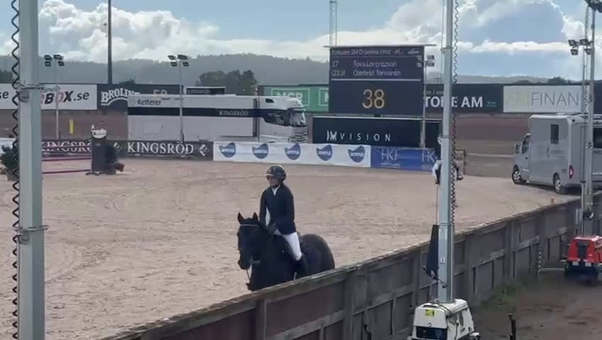 Hoppning hästar till salu: Välmeriterad mästerskapsponny i Kristianstad - Video 1