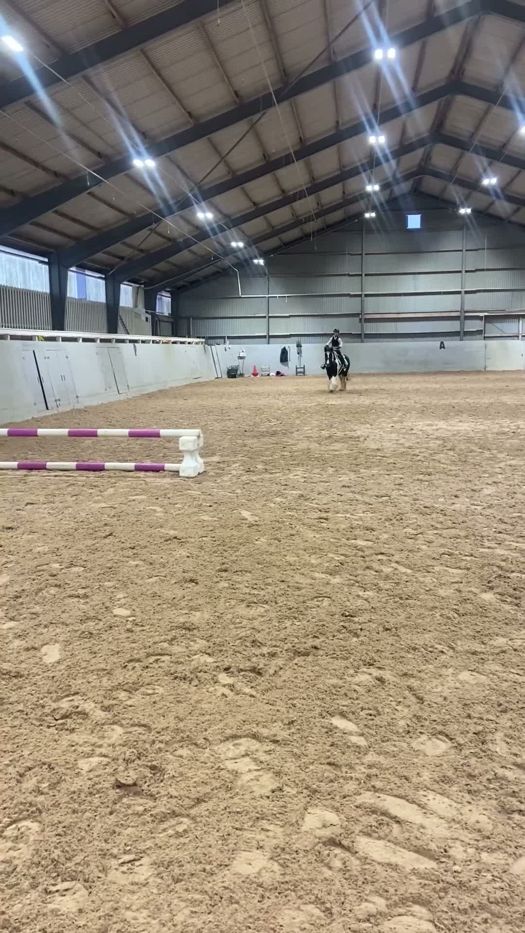 Allround hästar till salu: Vår underbara Lily!  - Video 1
