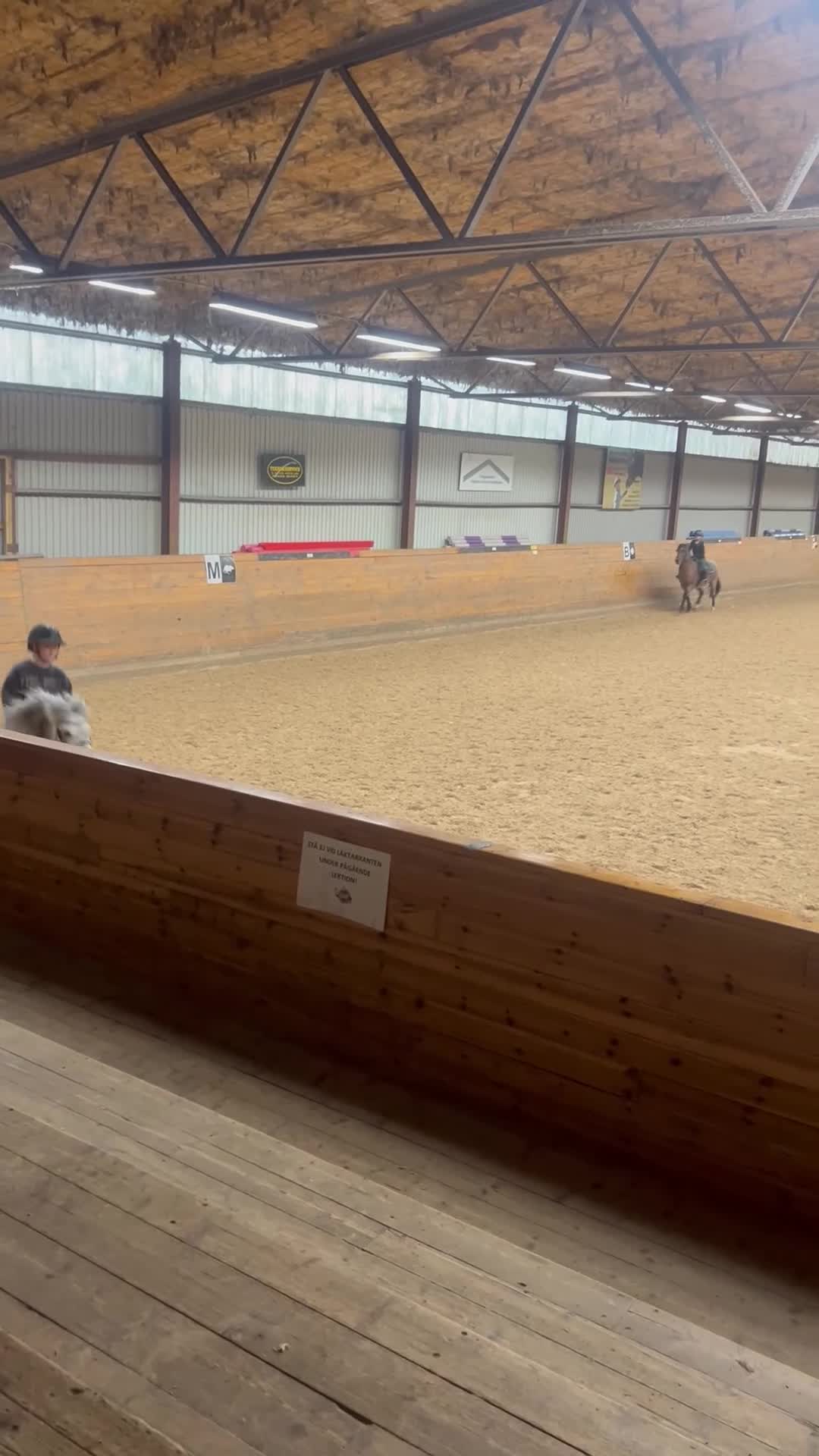 Allround hästar till salu: Söt welshponny  i Vingåker - Video 3