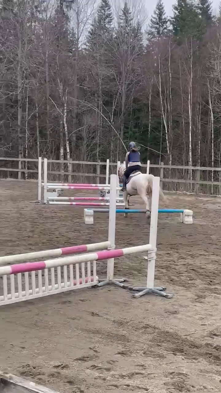 Allround hästar till salu: Ponny söker ny bästis - Video 1