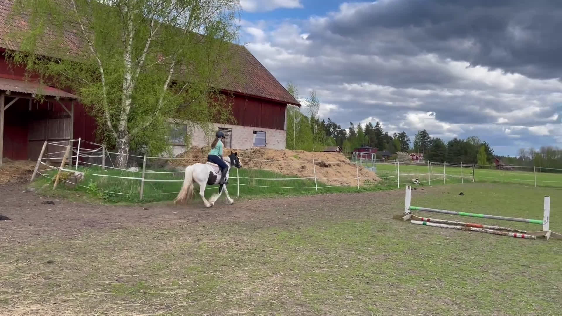 Allround hästar till salu: Superfin ungponny för framtiden! i Arboga - Video 1