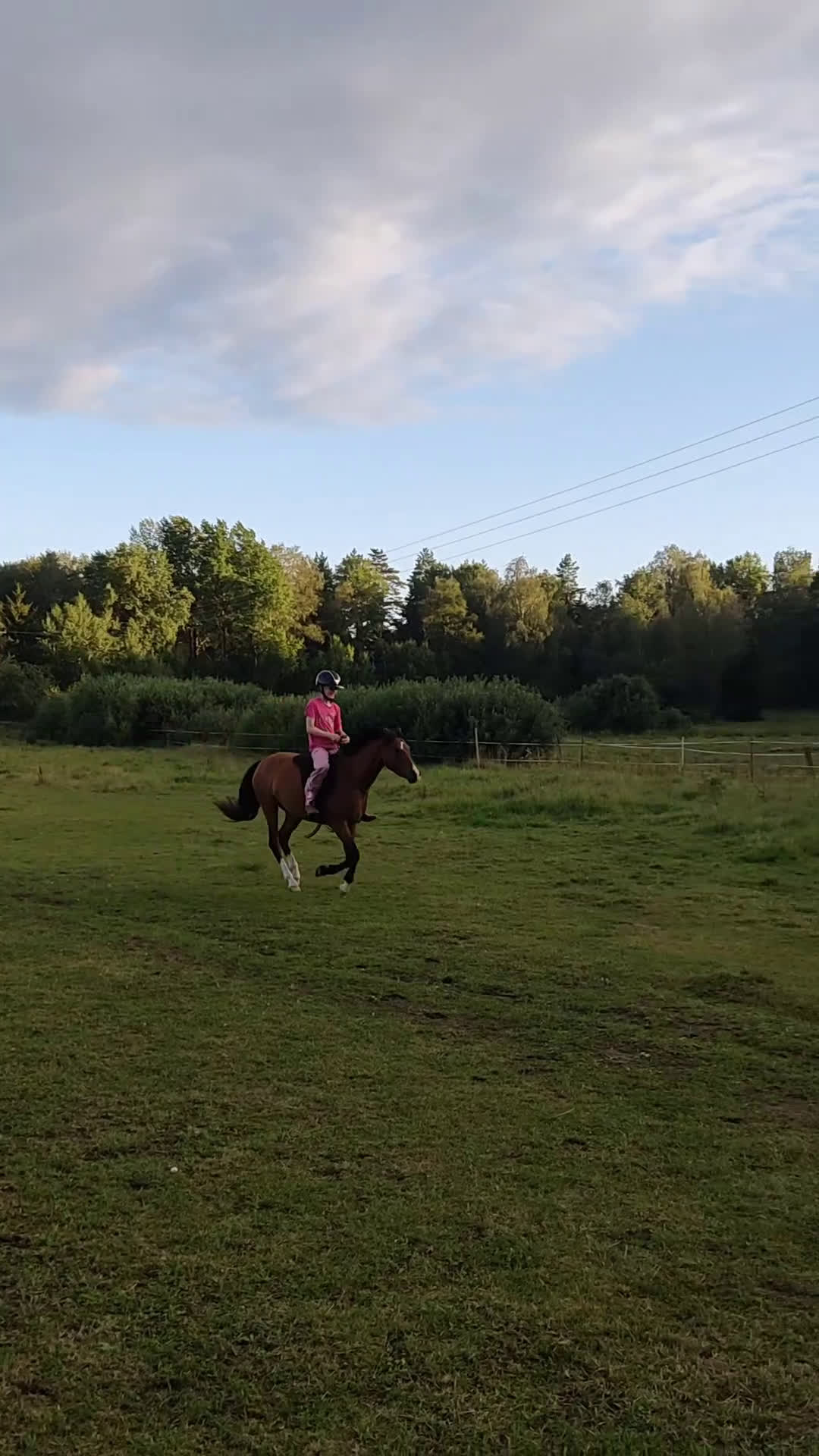 Allround hästar sökes: Äldre läromästare sökes (ponny eller storhäst) - Video 4