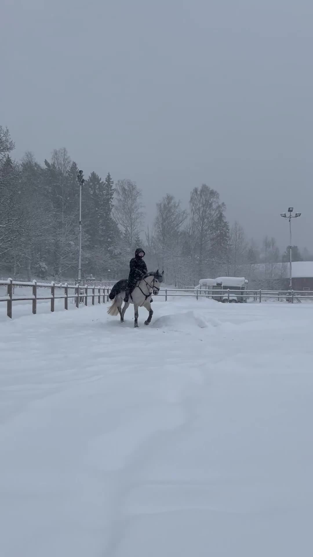 Hoppning hästar till salu: Maxad D-ponny  - Video 2