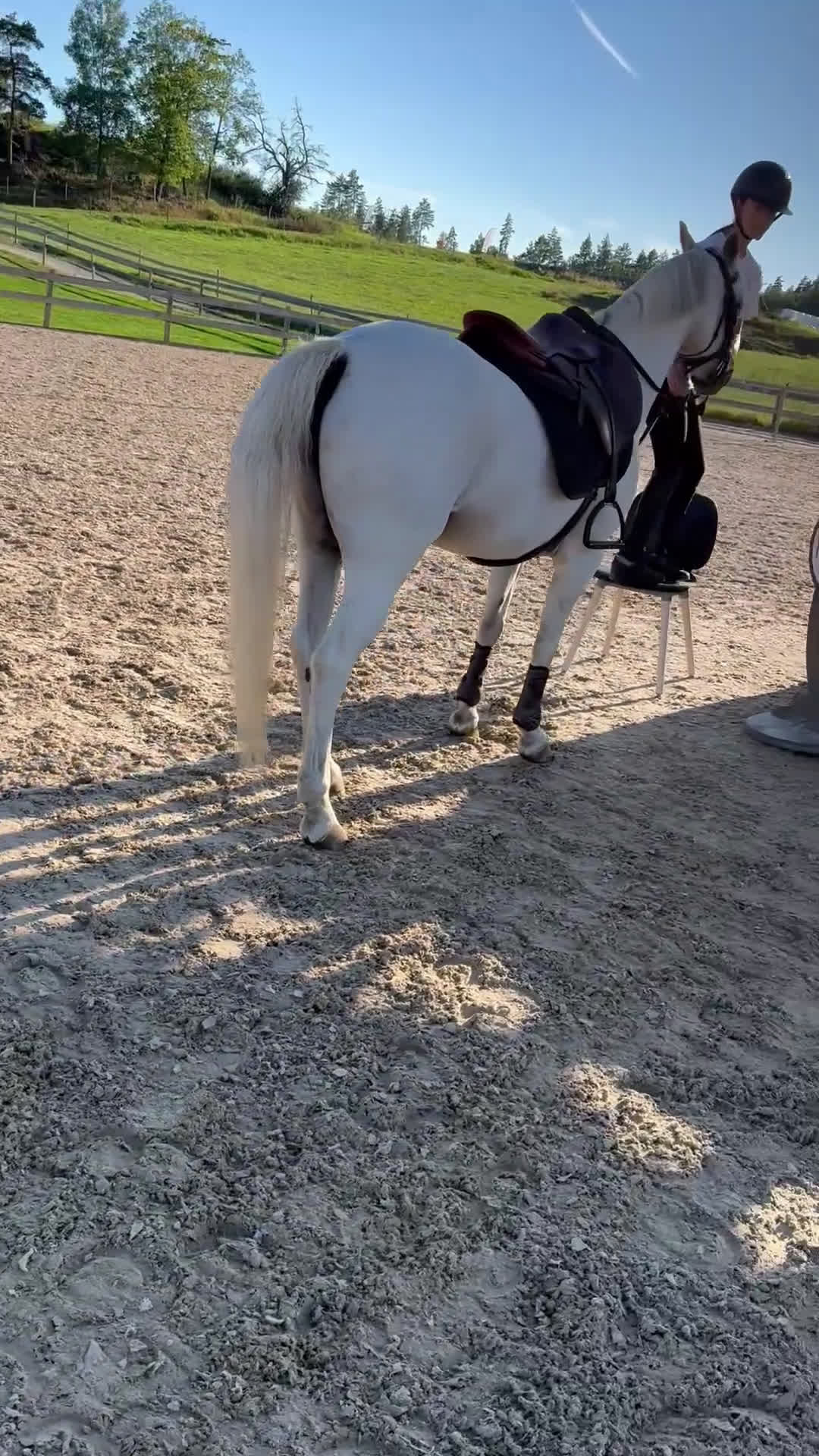 Dressyr hästar till salu: Drömponny för den lilla ryttaren i Norrköping - Video 1