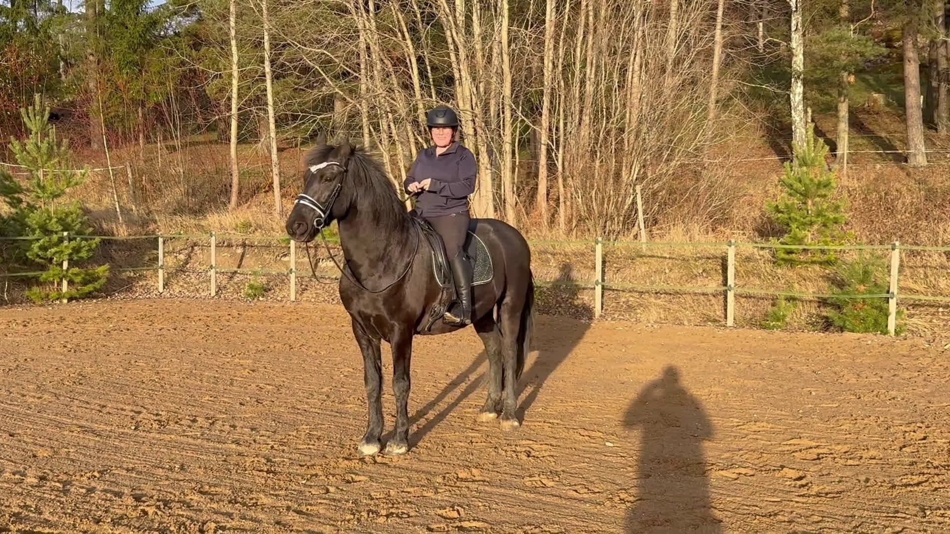 Allround hästar till salu: Trevlig frieser/hbl-valack i Vagnhärad - Video 4