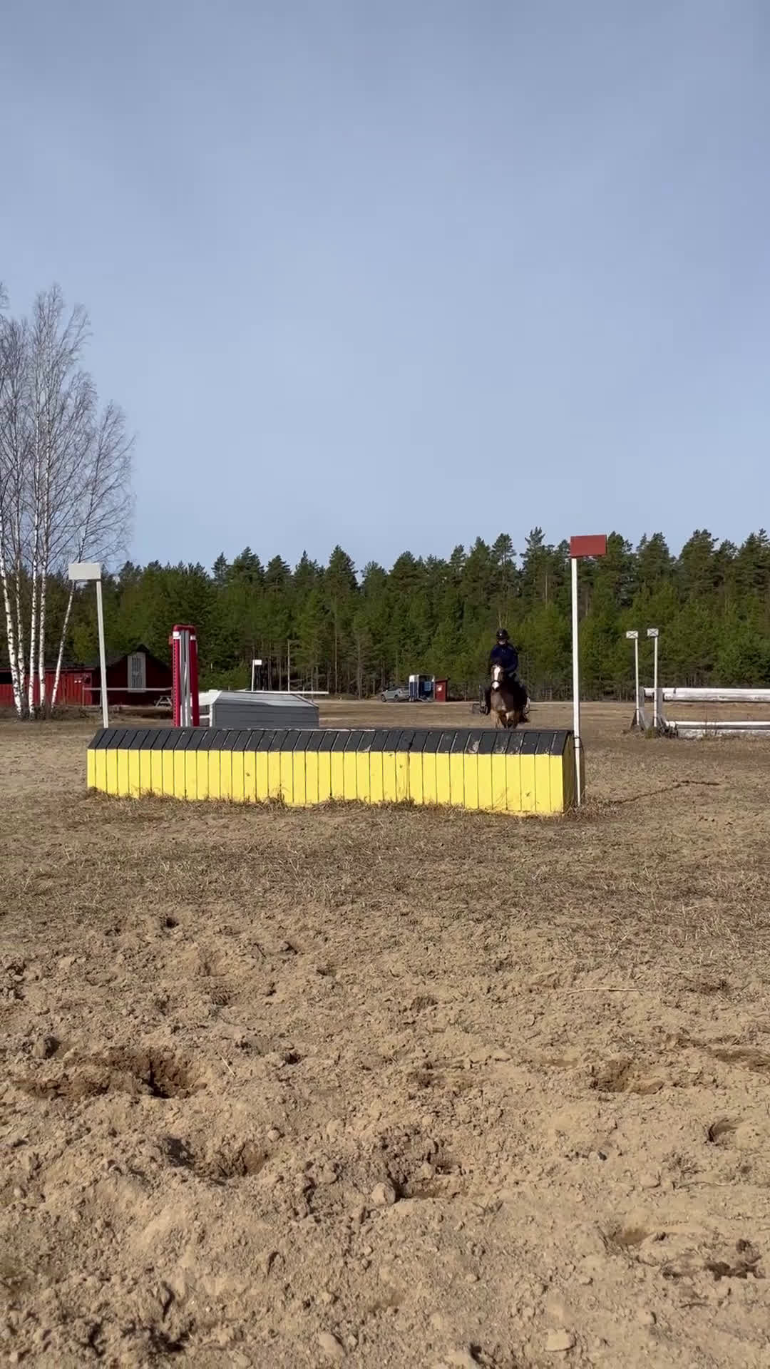 Allround hästar till salu: Trevlig b-ponny för allround - Video 2