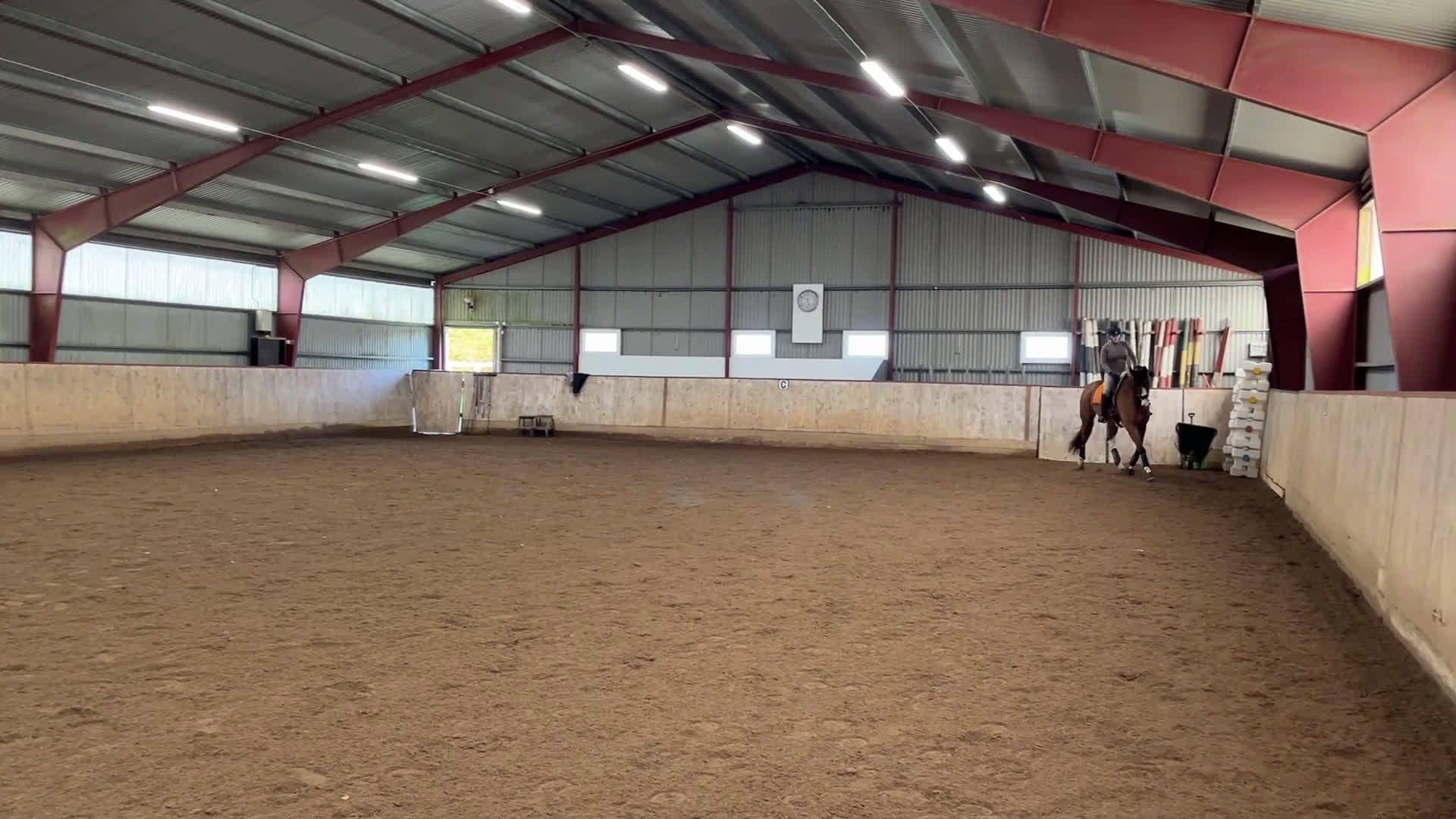 Dressyr hästar till salu: Dressyrämne med stor charm och potential! i Härslöv - Video 3