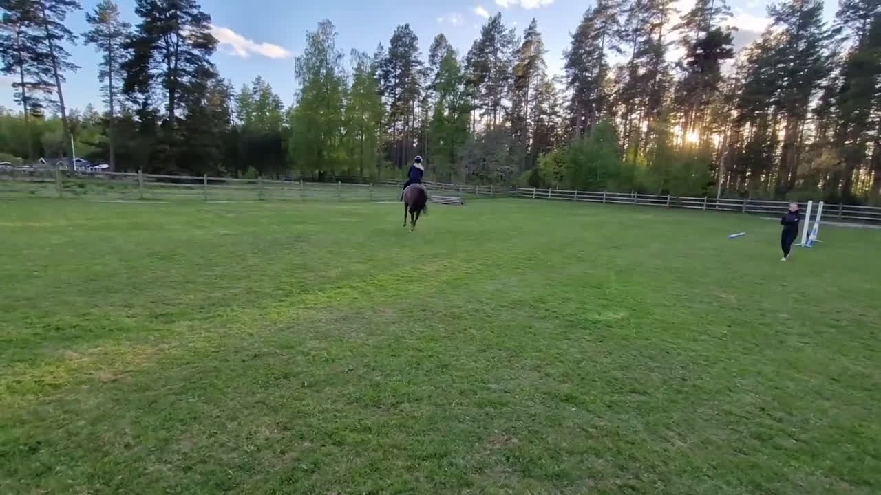 Allround hästar till salu: Allroundhäst mot hopp i Tidaholm - Video 1