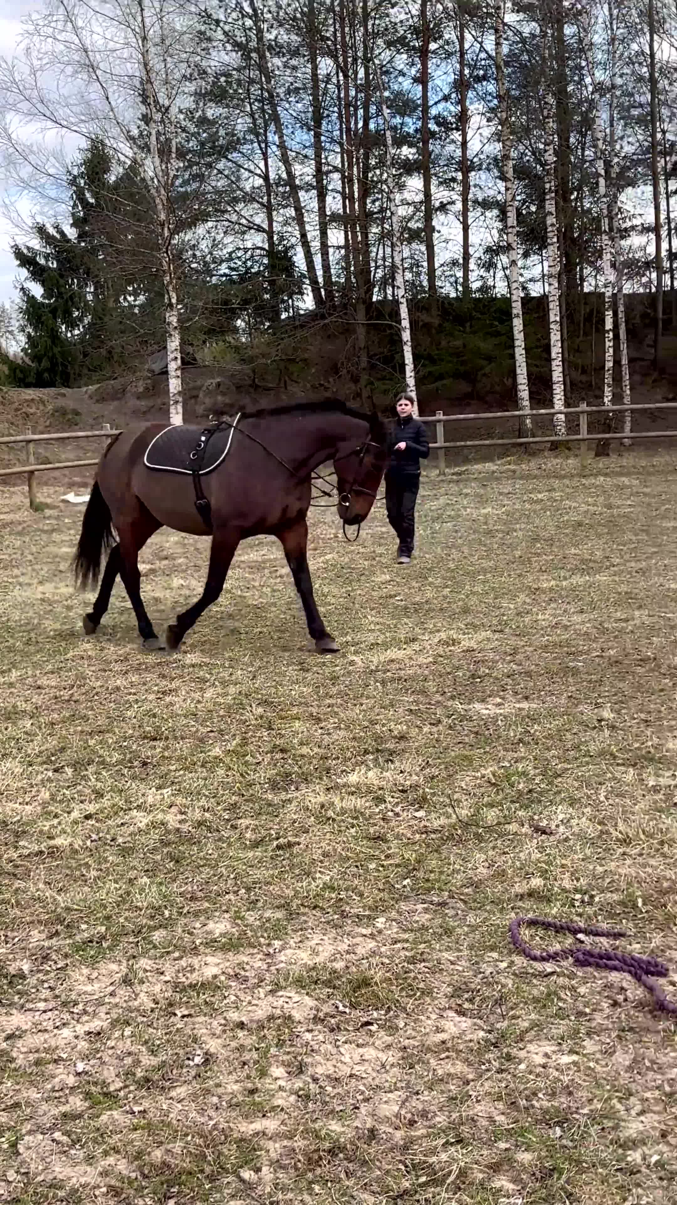 Allround hästar till salu: Vill du bli medryttare till en trygg travare? i Pålsboda - Video 1