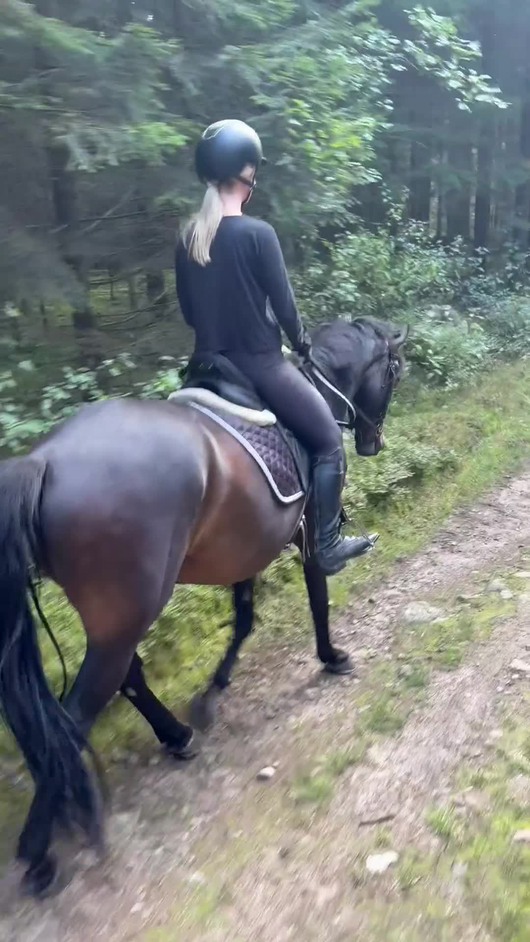 Allround hästar till salu: Mor dotter häst - Video 1