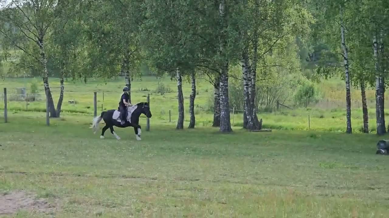 Körning hästar till salu: *reserverad* Snällaste ponnyn - Video 3