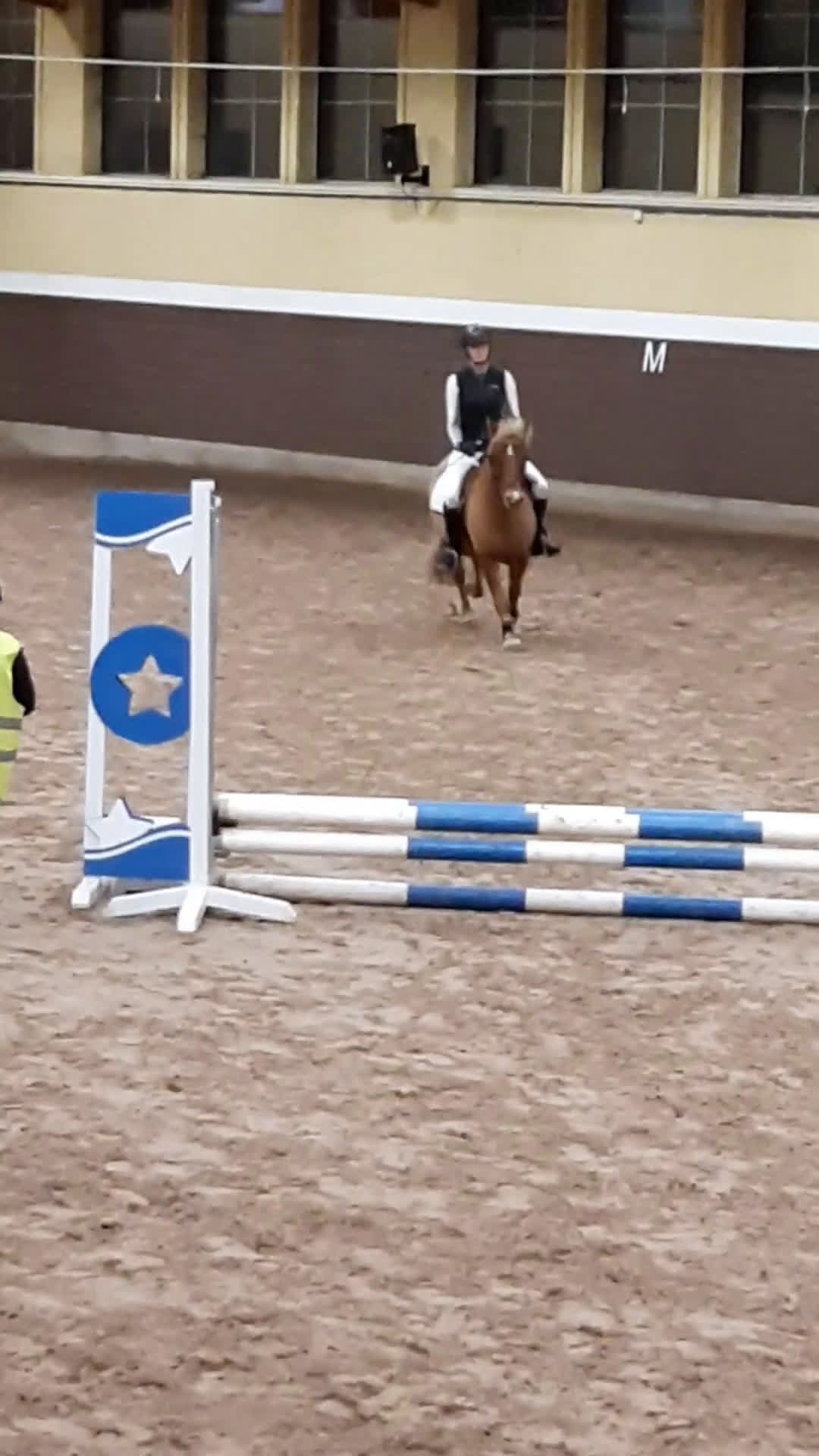 Allround hästar till salu: Inkört sportigt Gotlandsruss för hela familjen.  - Video 3