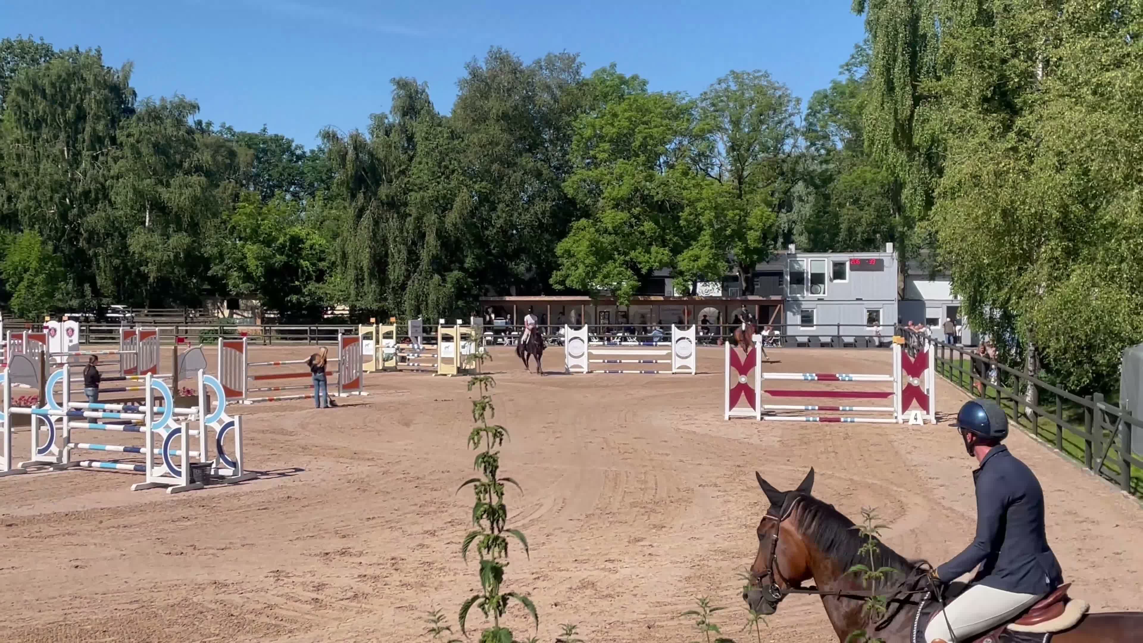 Hoppning hästar till salu: Häftig och snäll hopphäst - Video 1