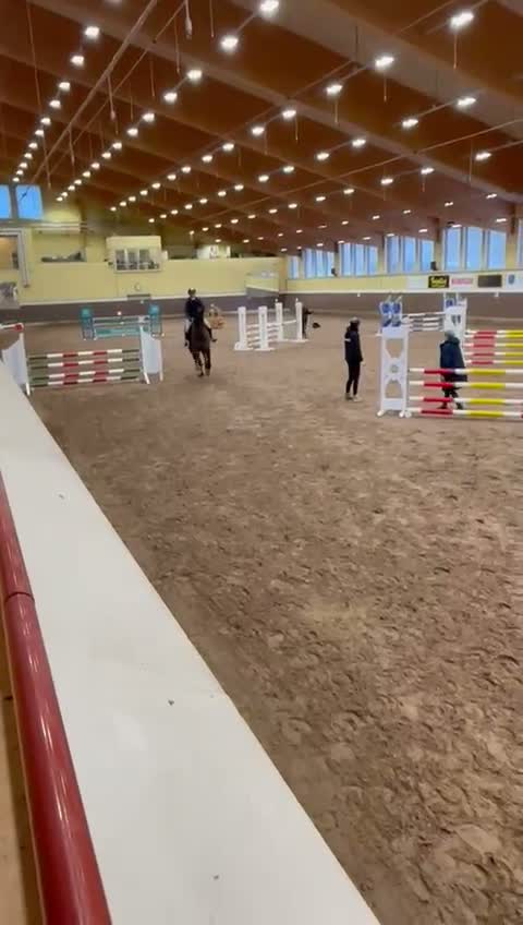 Hoppning hästar till salu: Trygg, Snäll kompis i alla grenar⭐  i Fornåsa - Video 2