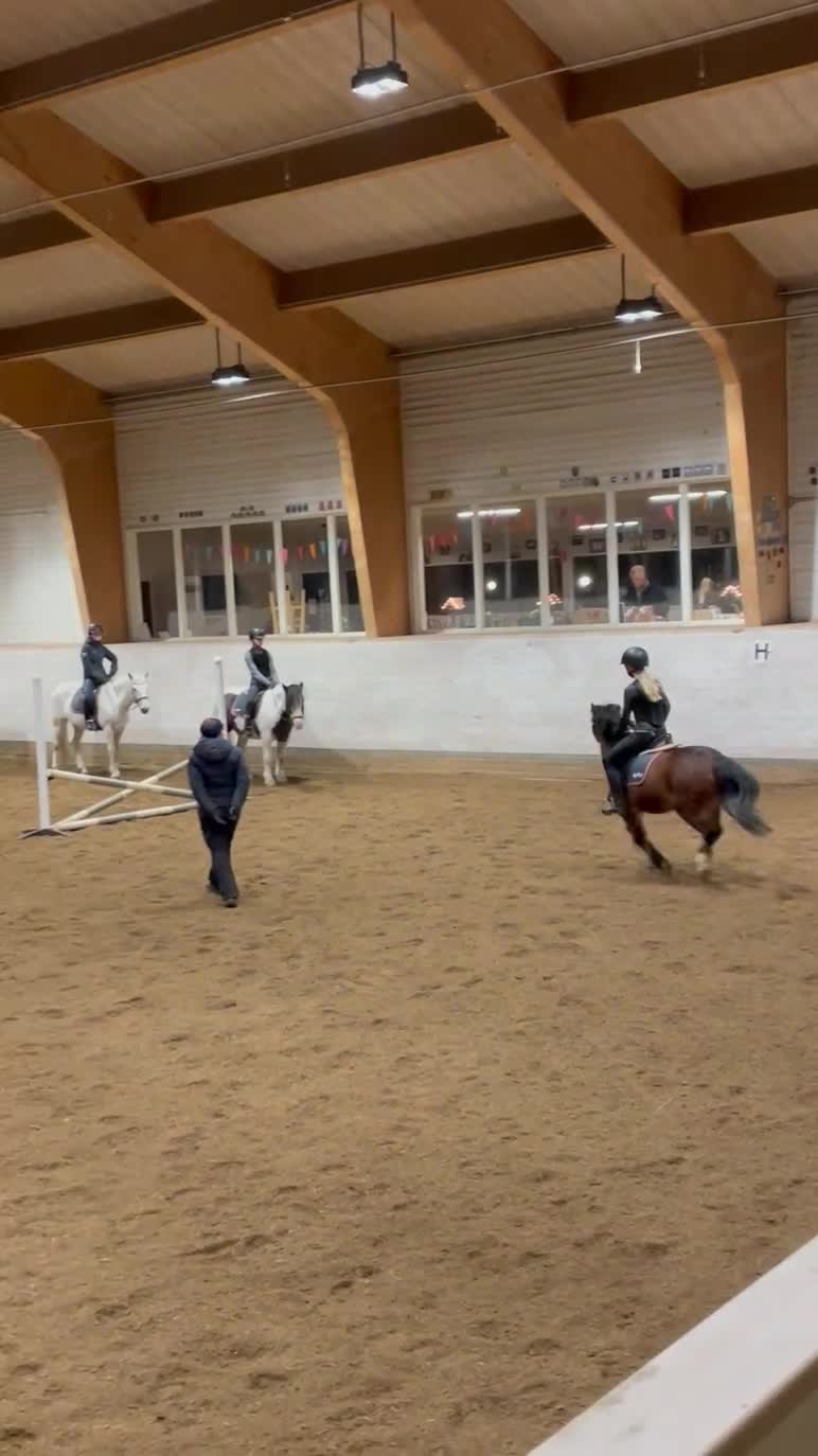  medryttarhäst sökes: Söker medryttarhäst! i Hässelby - Video 1