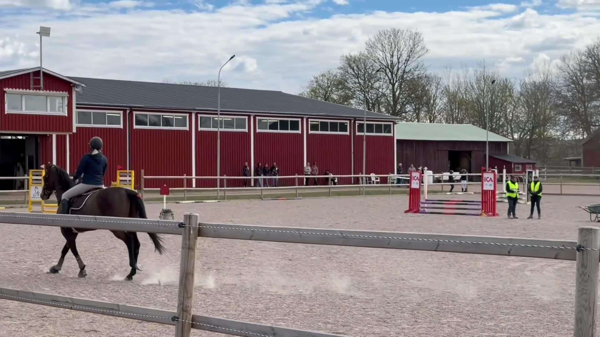 Allround hästar till salu: Jätte fint Fullblodssto säljes! - Video 1