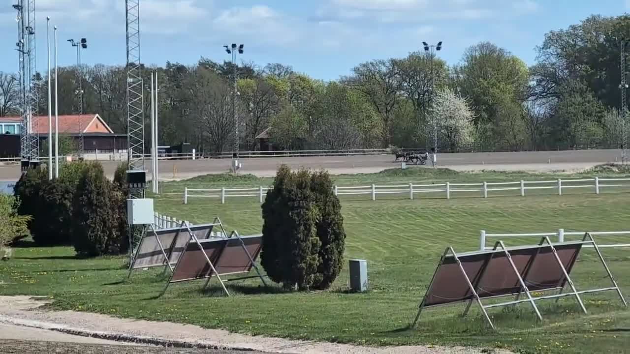 Trav hästar till salu: Premieklar 2 åring  i Sölvesborg - Video 1