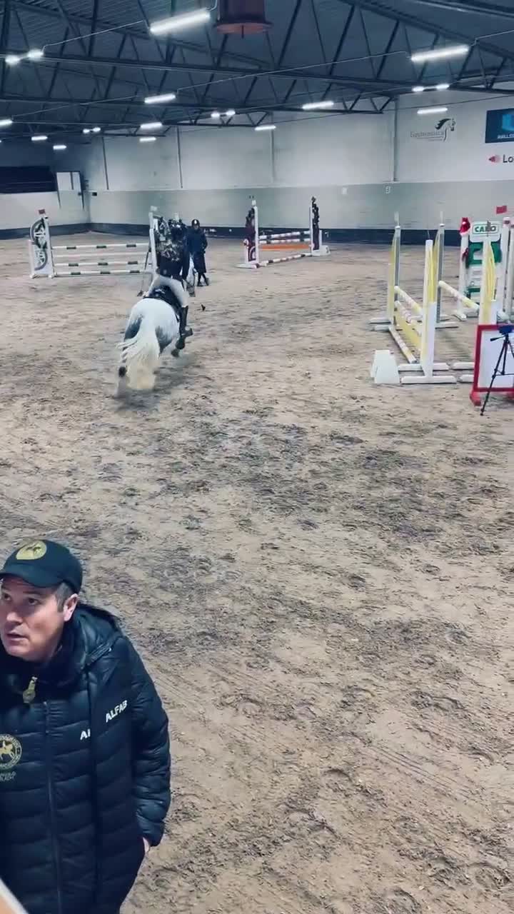 Hoppning hästar till salu: 🌟Häftig ponny🌟 - Video 2