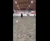 Allround hästar till salu: D-ponny sto - Video 3