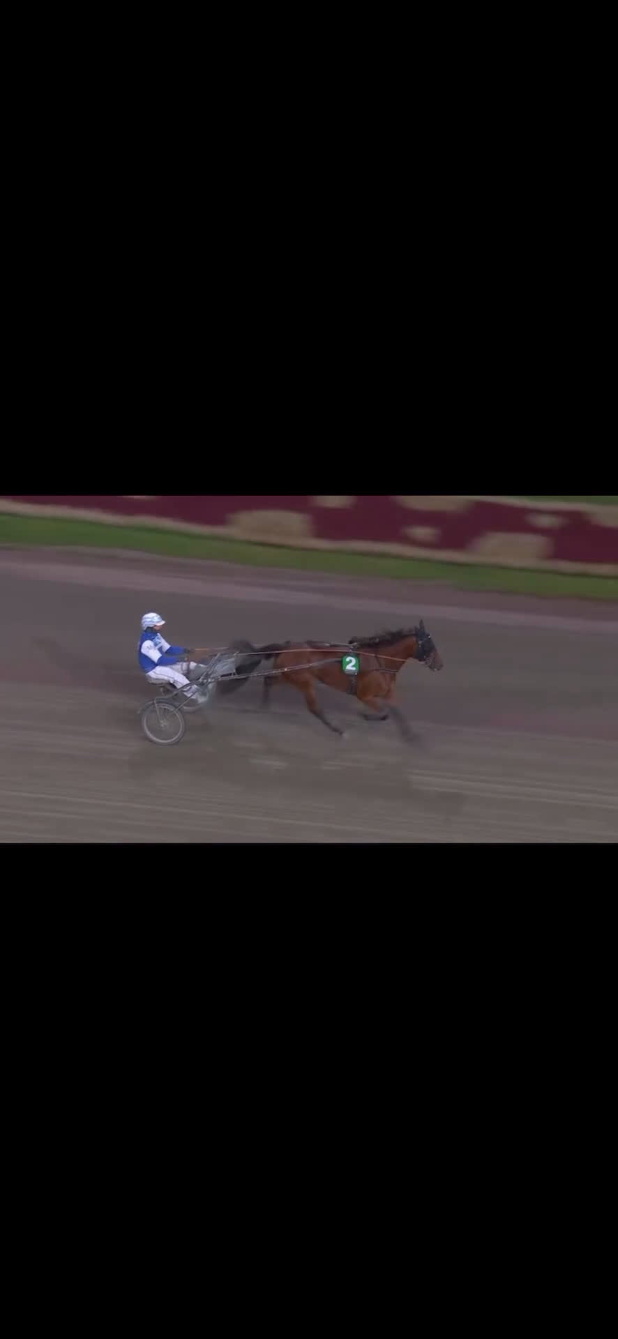 Trav hästar till salu: Starthäst - Video 1