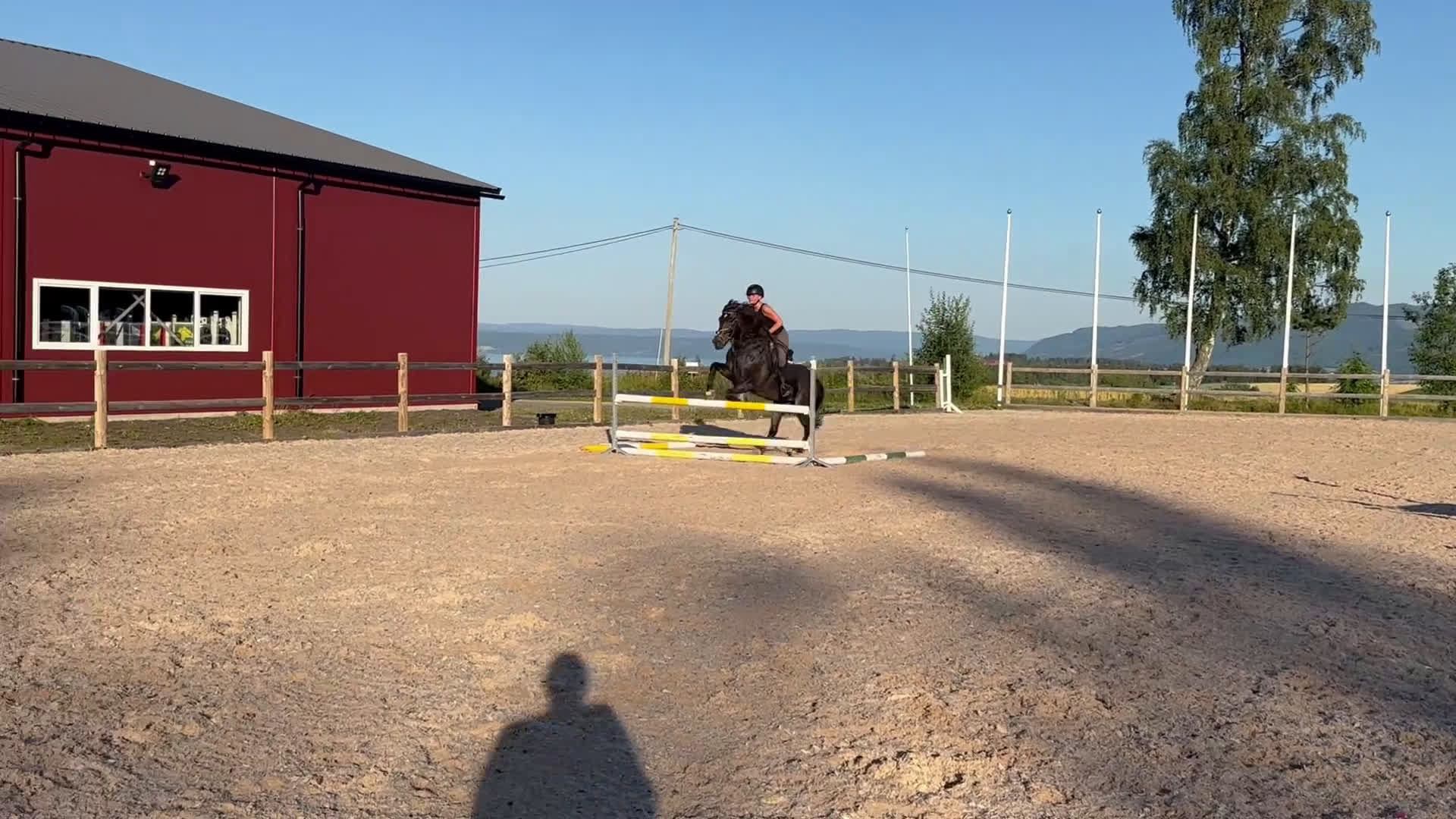 Hoppning hästar sökes: søker hest - Video 4