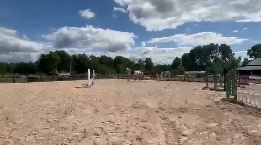Hoppning hästar till salu: Valack född -18 i Laholm - Video 2