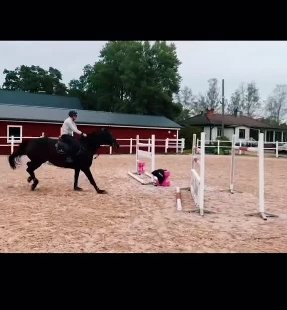 Hoppning hästar till salu: Häst för de allra högsta !  i Sala - Video 2