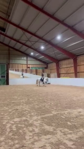 Allround hästar till salu: Underbart snäll och personlig ponny i Helsingborg i Helsingborg - Video 2