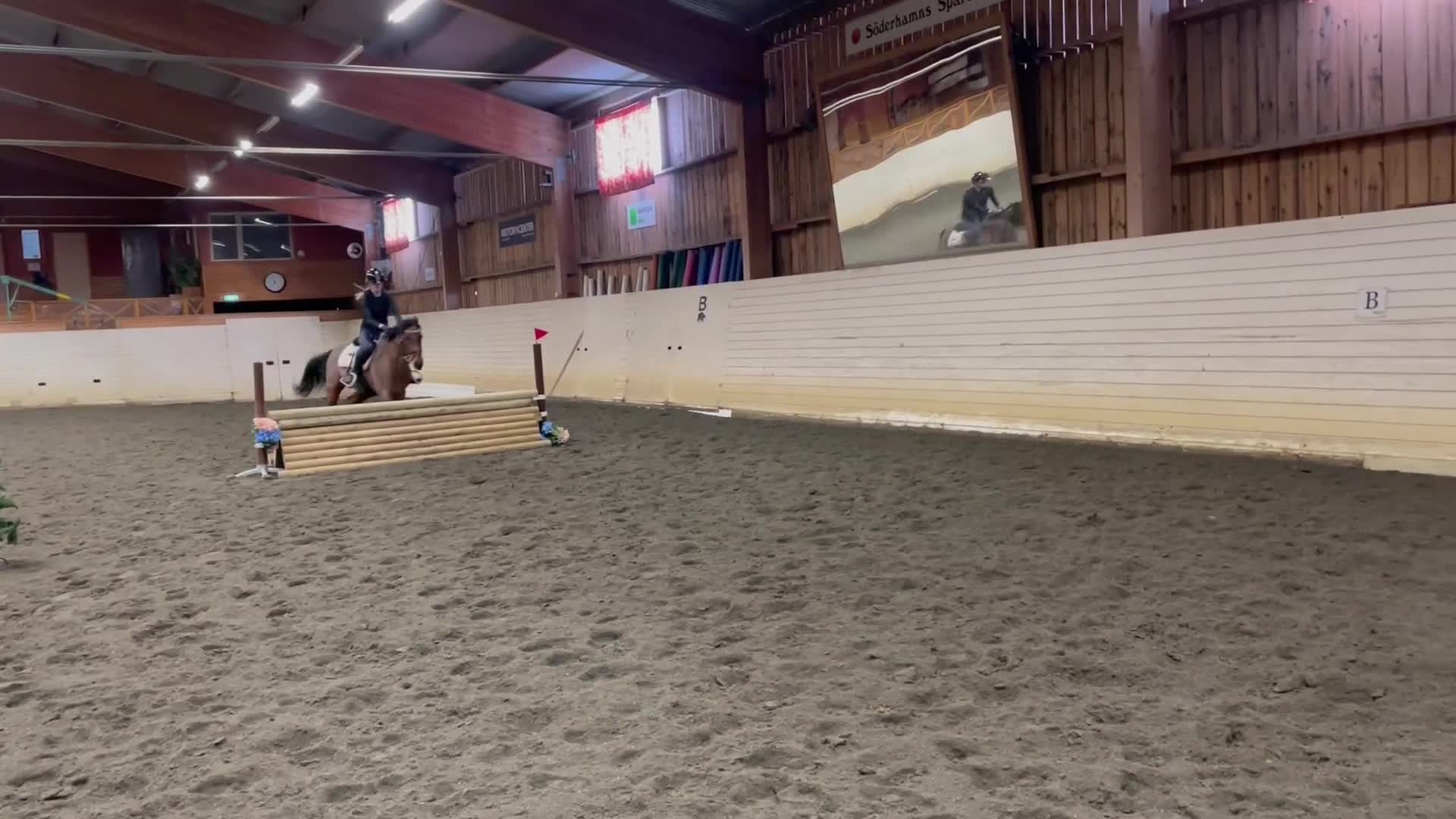Allround hästar till salu: Ponnyn med hjärtat av guld❤️‍🔥 i Kilafors - Video 4
