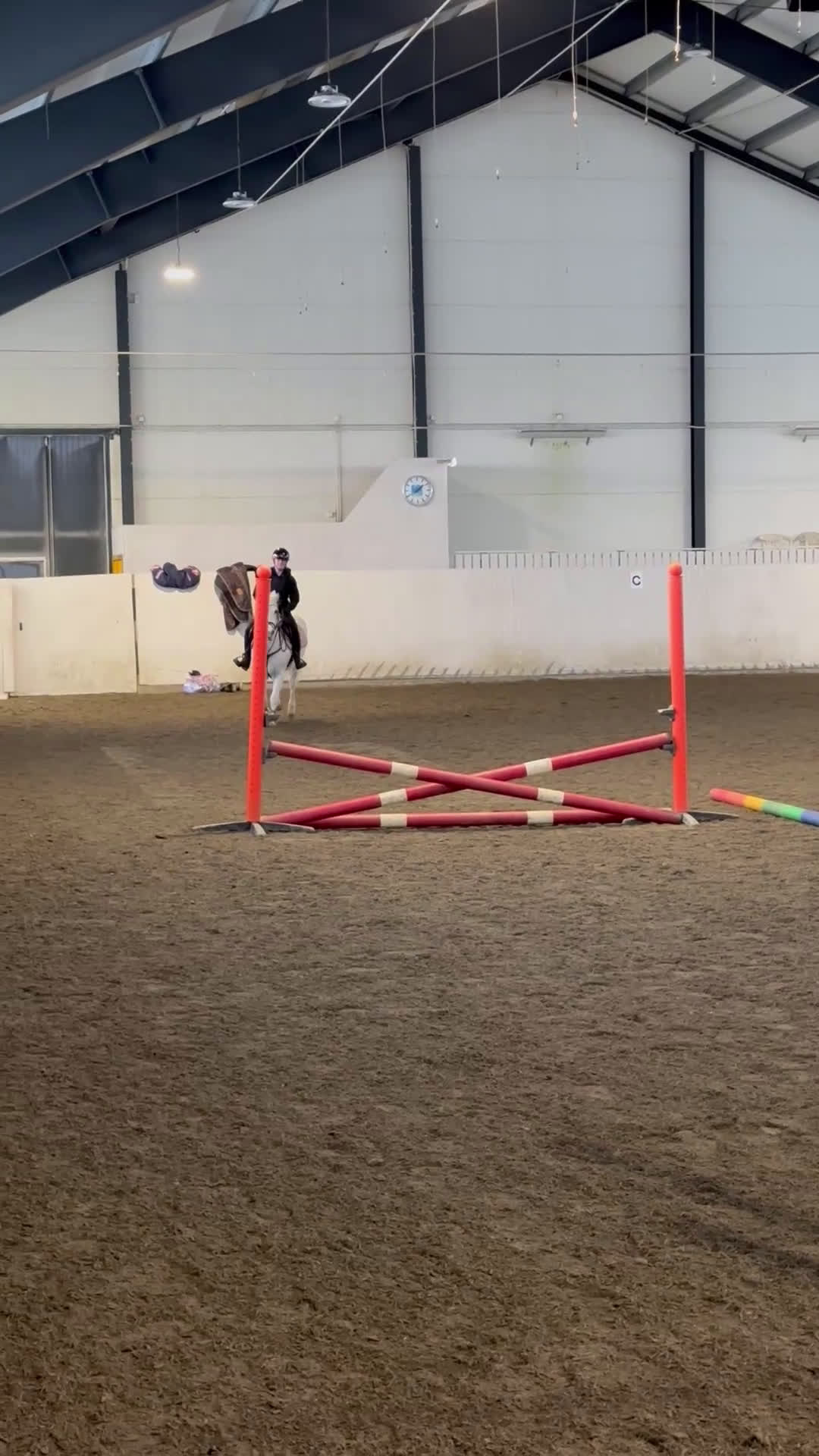 Allround hästar till salu: Trygg och snäll D-ponny – perfekt familjeponny i Skara - Video 2