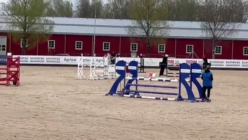Hoppning hästar till salu: Topponny för högre klasser i Göteborg - Video 1