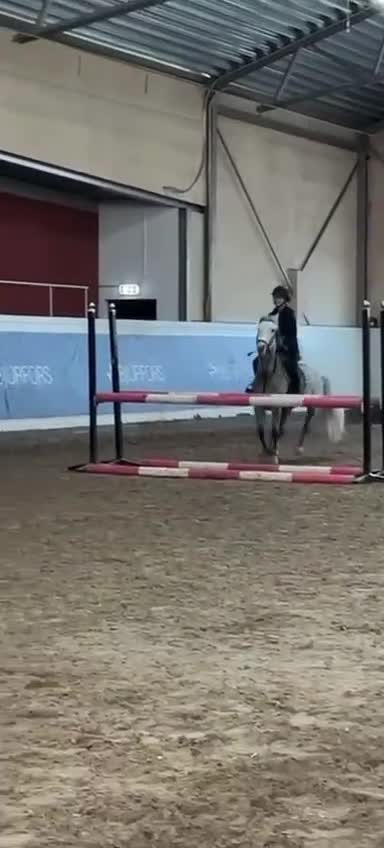 Hoppning hästar till salu: Tävlingsponny för framtiden - Video 1