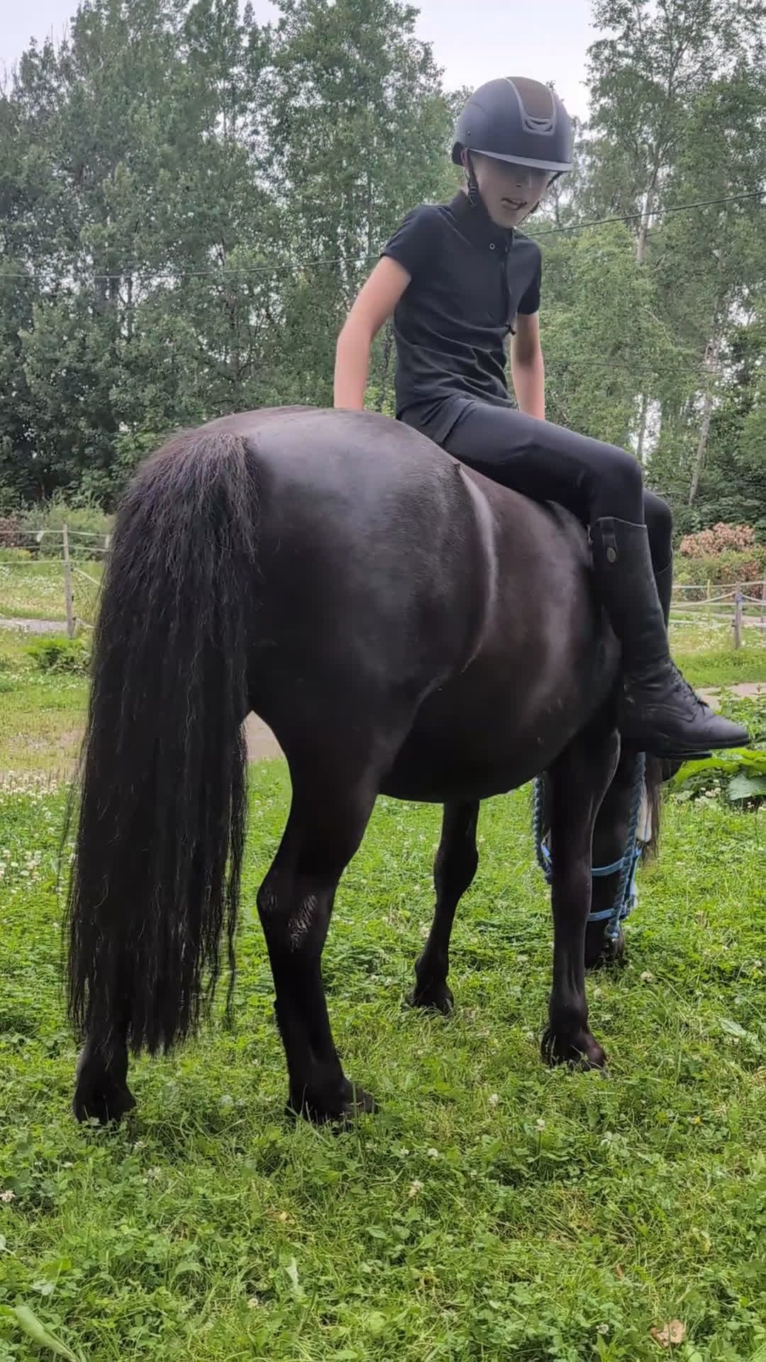 Allround hästar till salu: Charmig ponny i Torshälla - Video 4