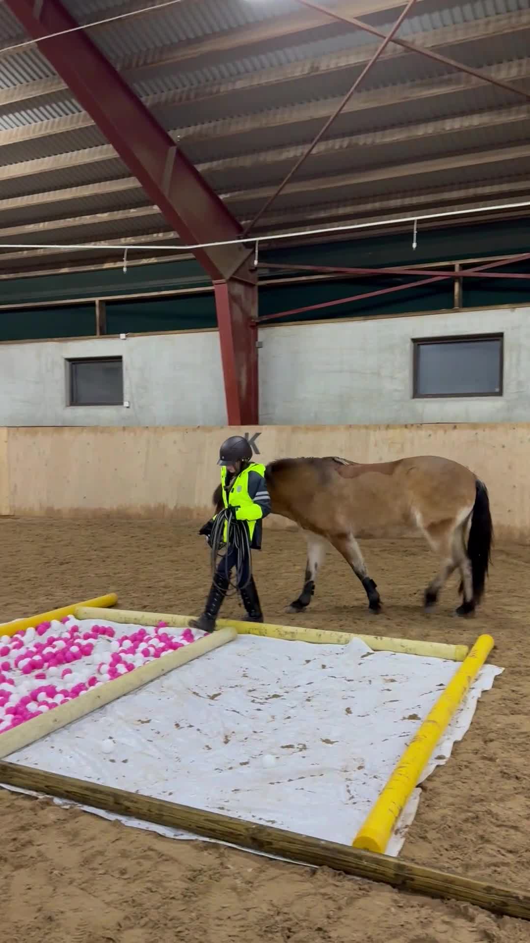 Allround hästar till salu: En bra förstaponny i Mantorp - Video 2