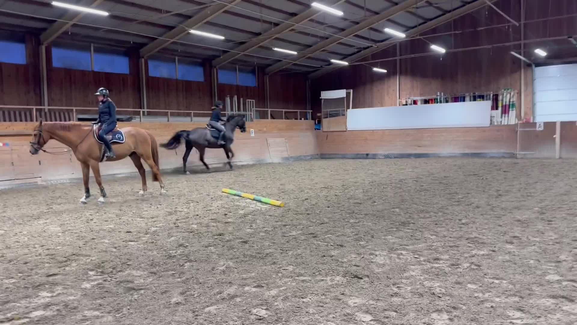 Hoppning hästar till salu: Trevlig valack 9 år (SWB) - Video 3