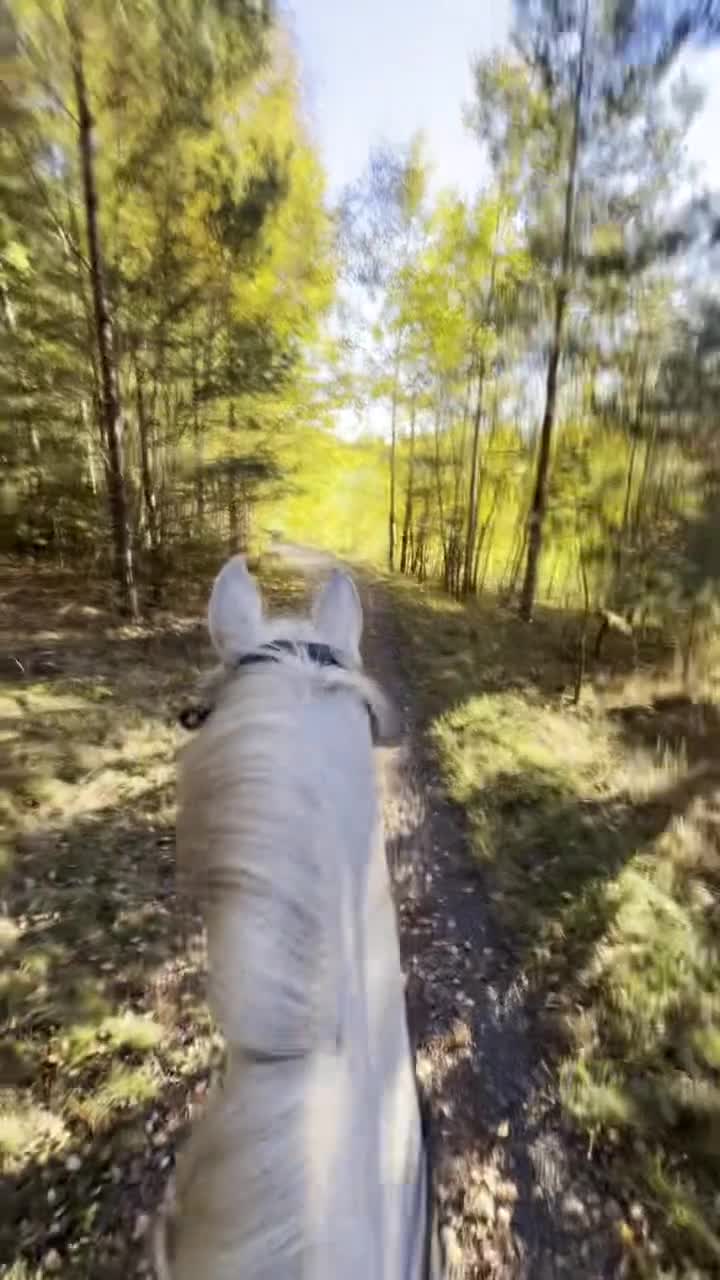  stallplats finnes: Ledig stallplats i trevligt stall m ridhus - Täby - Video 1