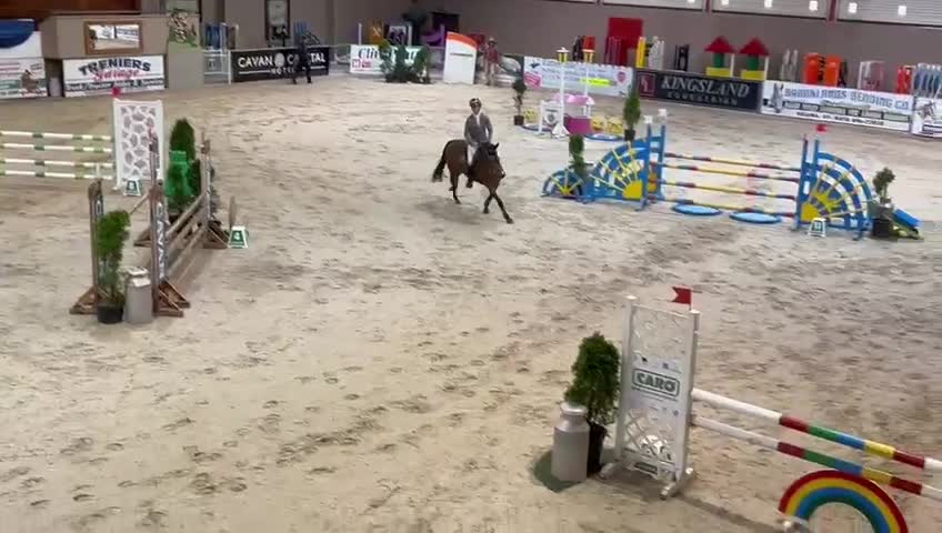 Hoppning hästar till salu: Topp D Ponny För De Större Uppgifterna 🌸 - Video 5
