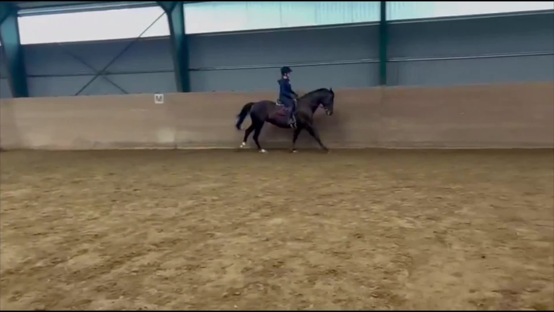 Dressyr hästar till salu: Sto med utstrålning  i Luleå - Video 1