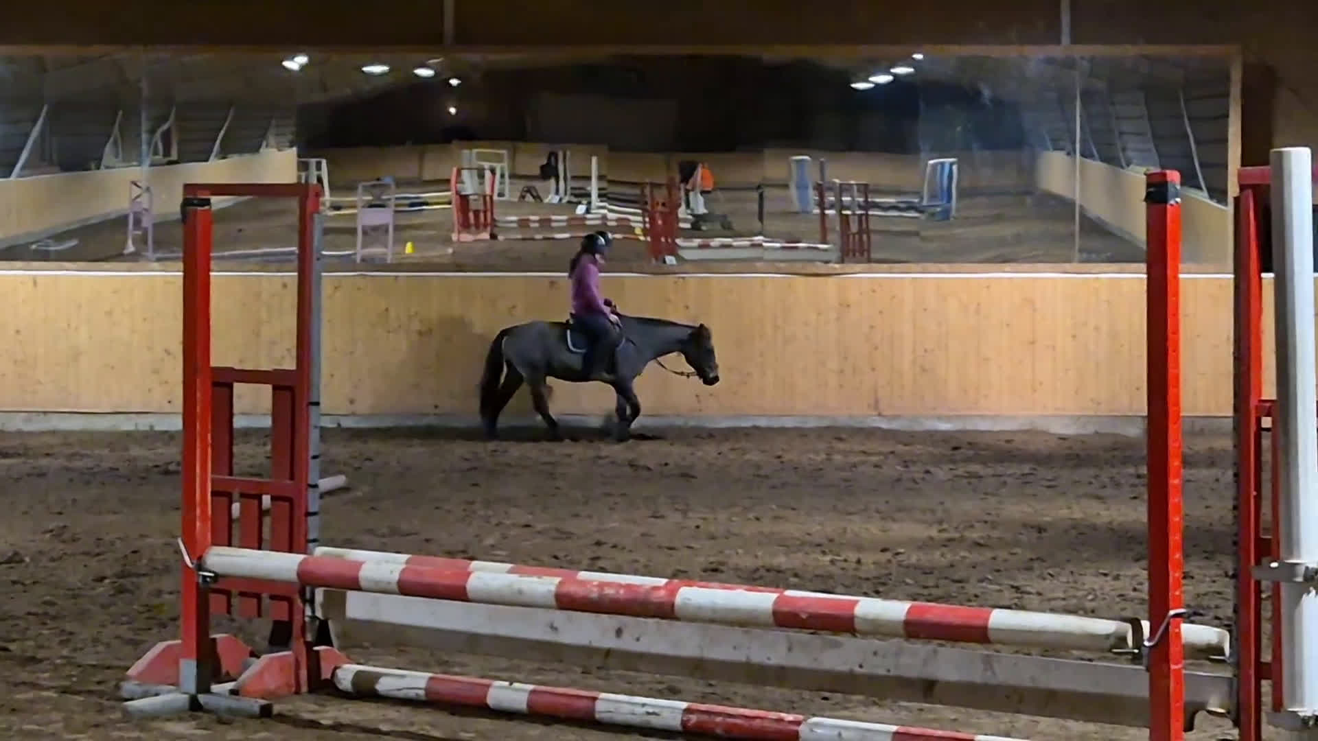 Allround hästar till salu: Trevlig ponny i Kristinehamn - Video 1