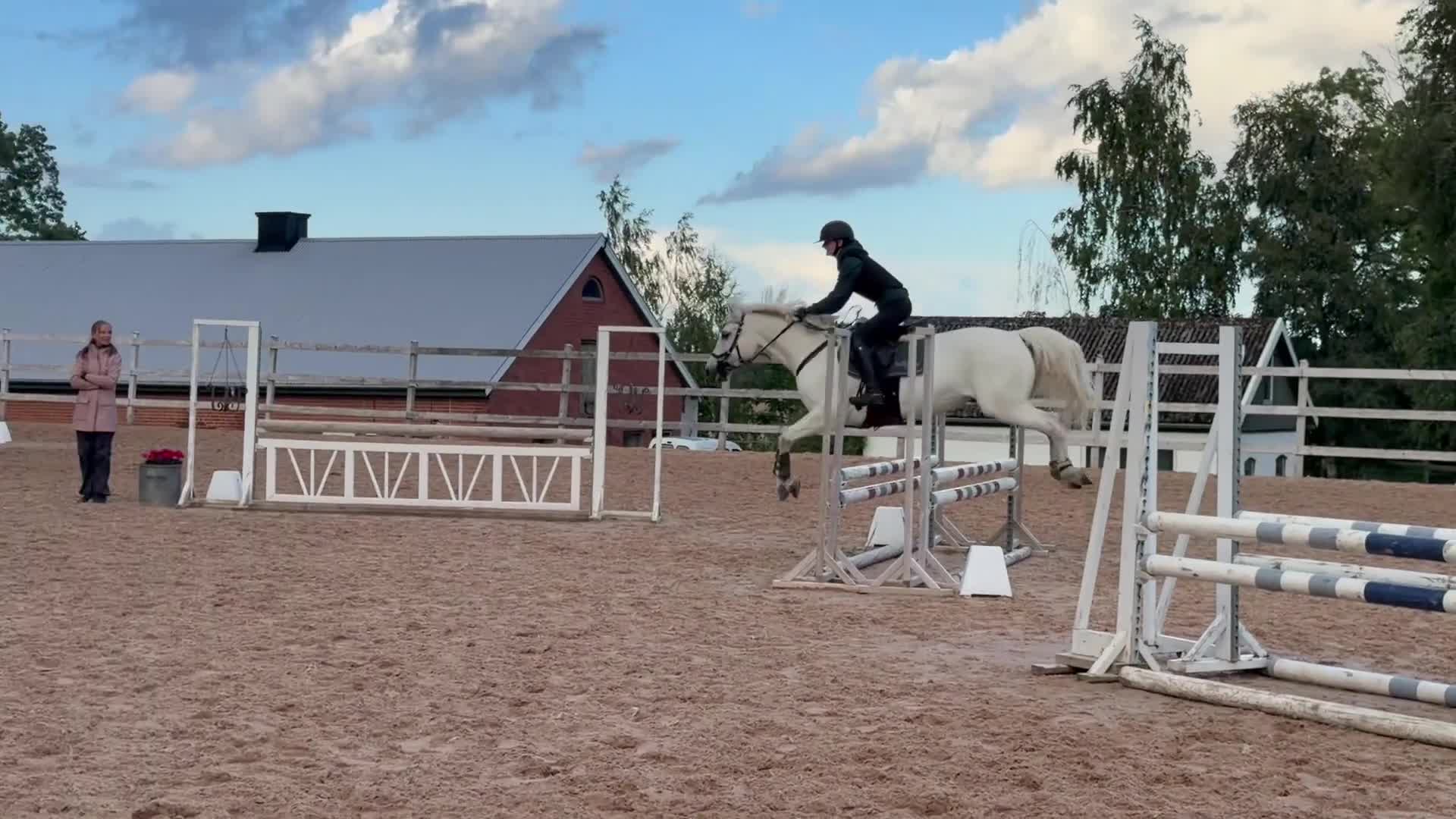Allround hästar till salu: Världens finaste Boy - Video 5