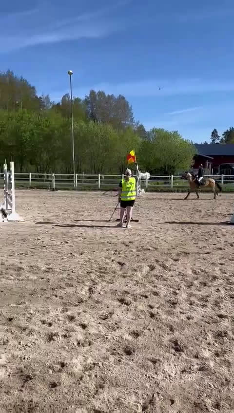 Allround hästar till salu: Hoppglad D-ponny i Lysekil - Video 2