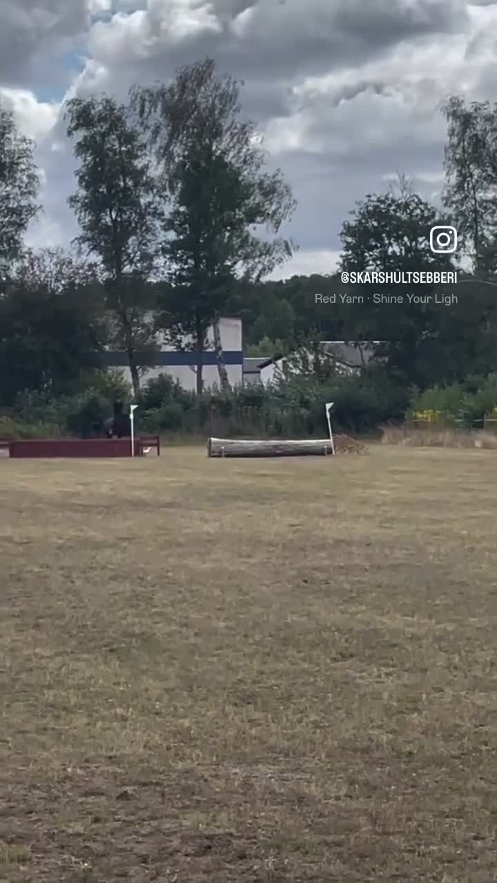 Fälttävlan hästar till salu: Modig d-ponny för framtiden! - Video 2