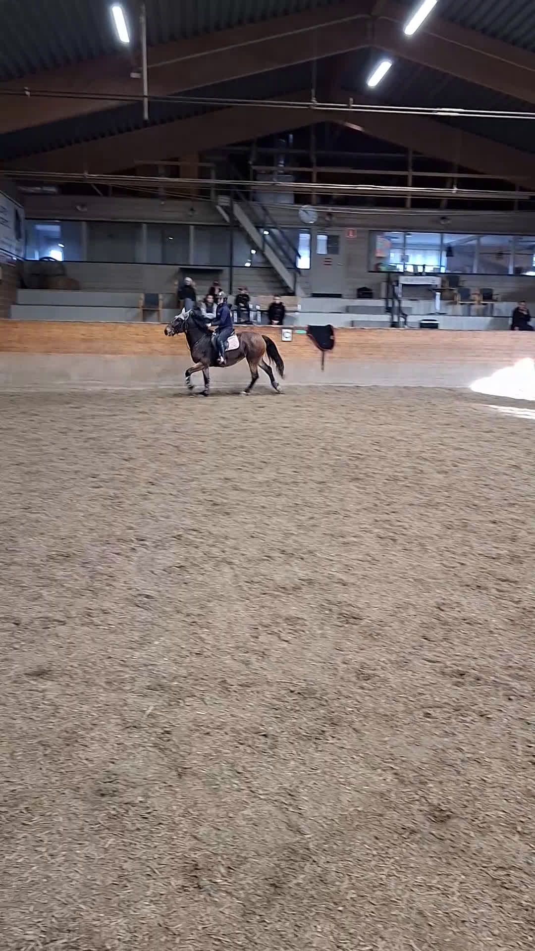 Allround hästar till salu: Allround med talang hoppning i Ilsbo - Video 1