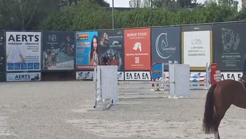 Hoppning hästar till salu: 5-årig svensk hopphäst med fin härstamning säljes - Video 2