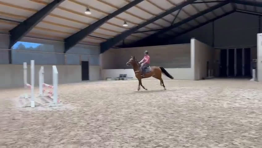 Fälttävlan hästar till salu: Unghäst för framtiden, röntgad. i Tollarp - Video 1