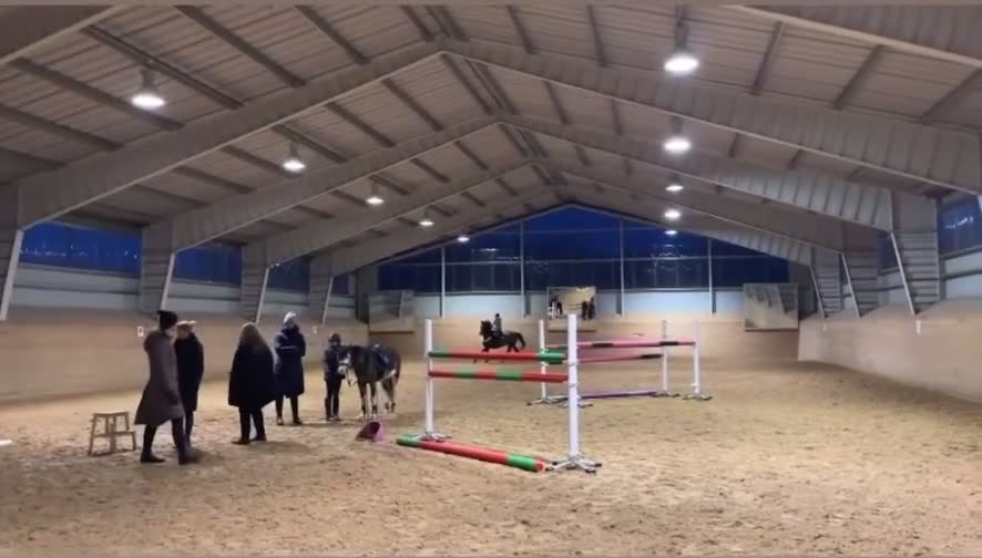 Hoppning hästar till salu: Världens bästa läromästare  i Karlskoga - Video 3