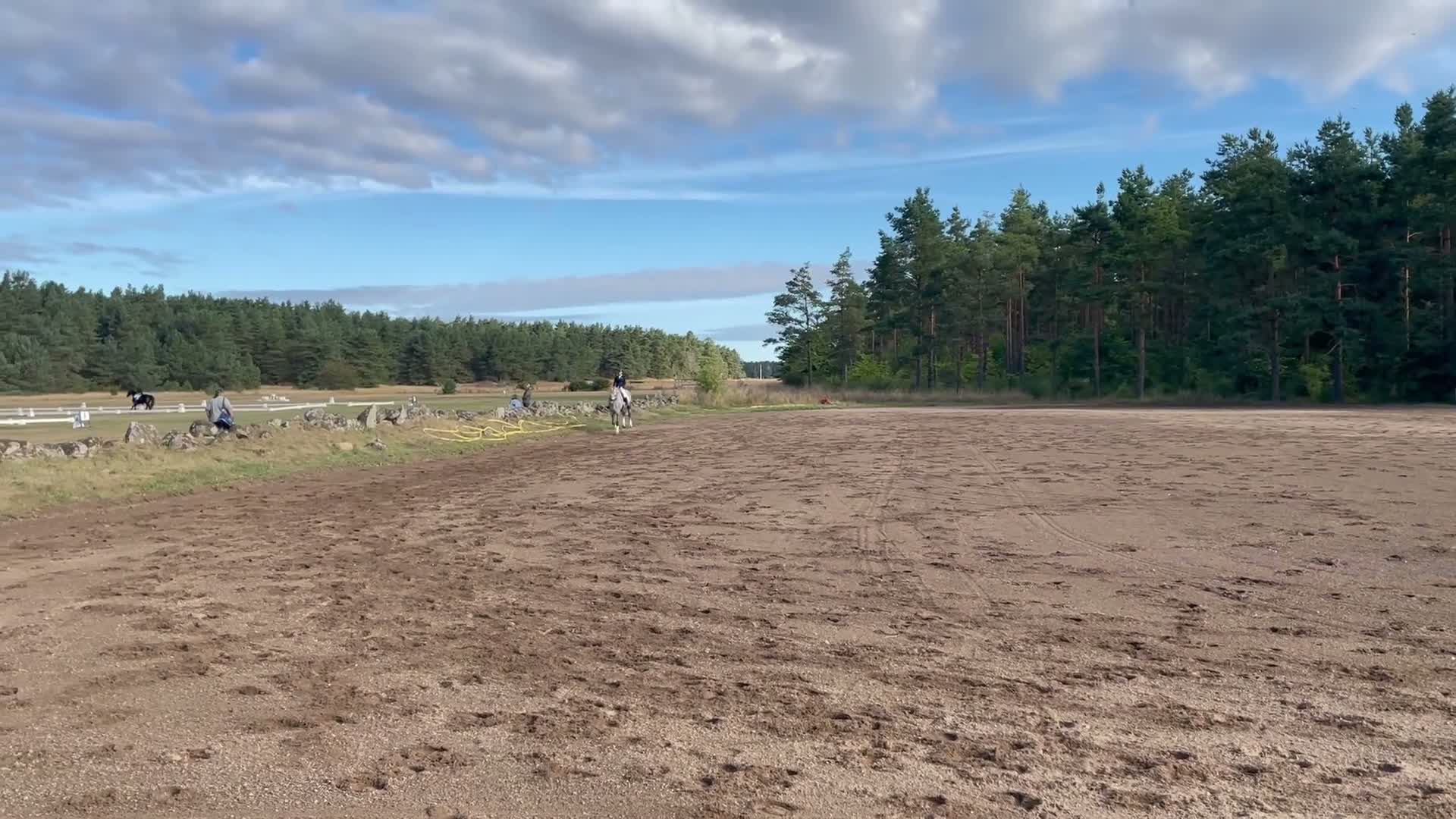 Hoppning hästar till salu: Tävlingskompis och bästa vän❤️ i Karlshamn - Video 3