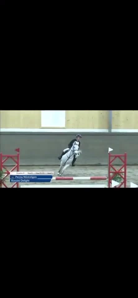 Hoppning hästar till salu: Hoppglad & tävlingsrutinerad ponny  i Hofterup - Video 2