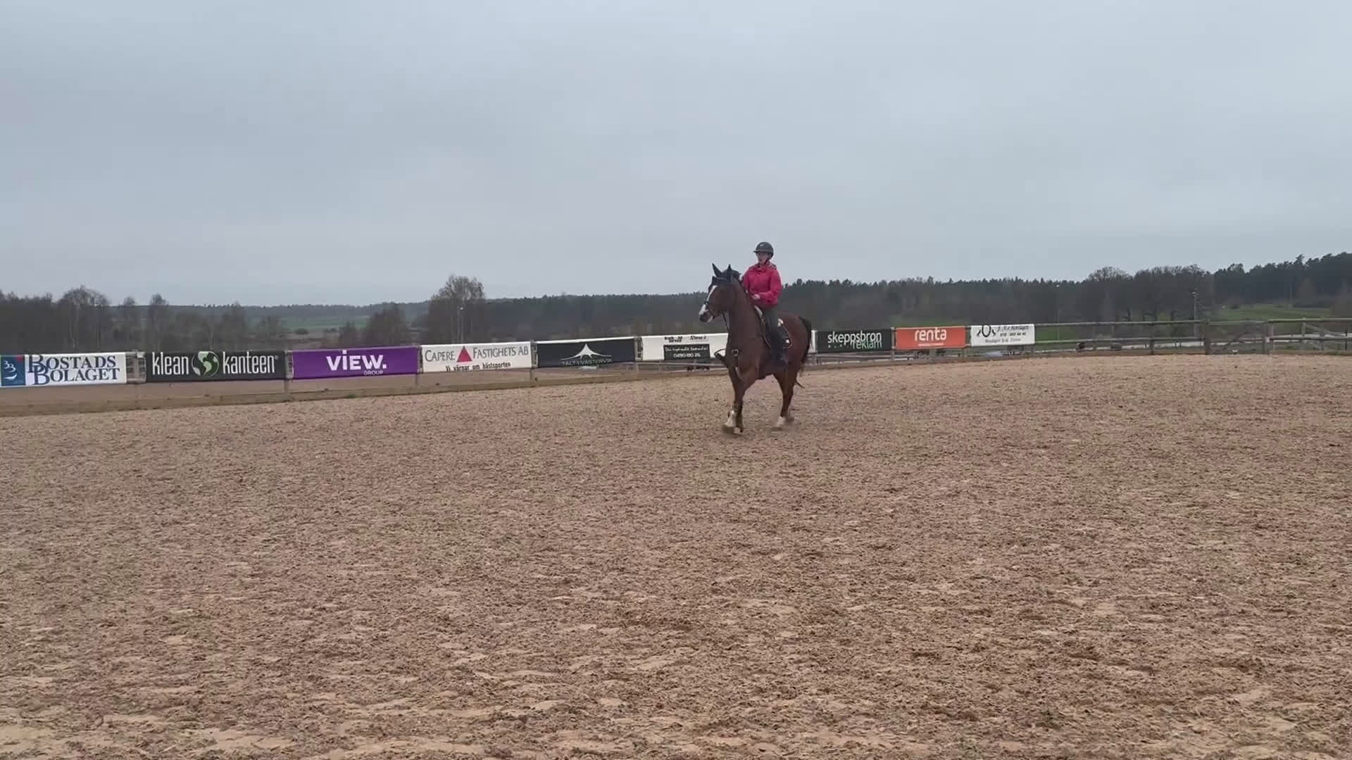 Hoppning hästar till salu: Super 4åring!   i Åtvidaberg - Video 1