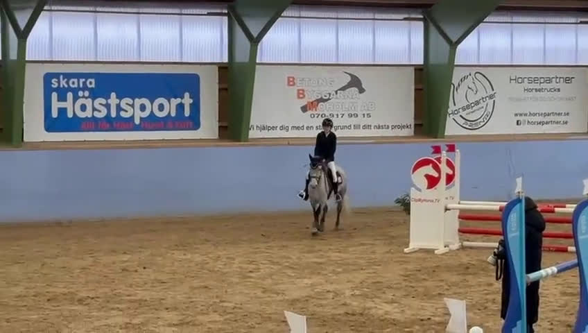 Hoppning hästar till salu: Perfekt första ponny eller tävlingskompis - Video 3